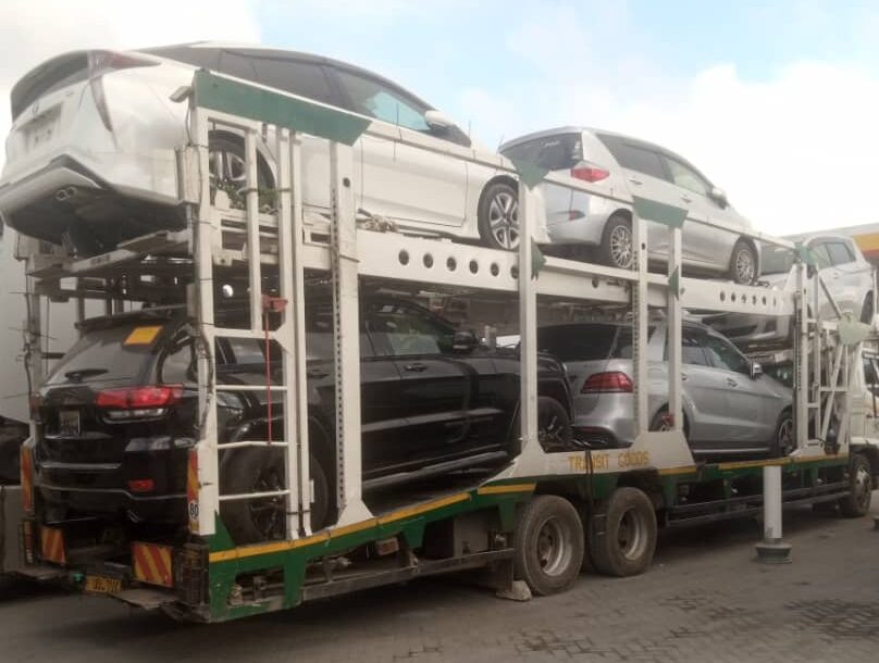 why_1 e1769942434978