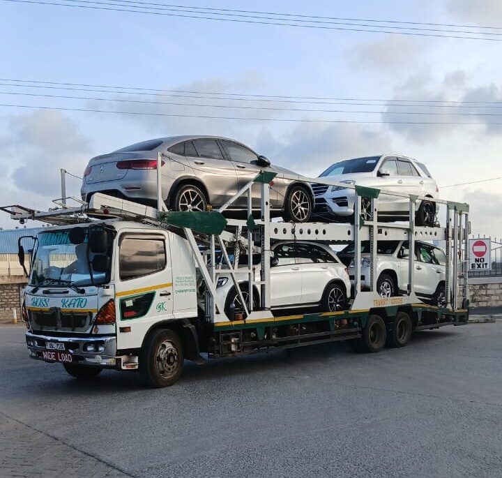 why_5 e1771919703307